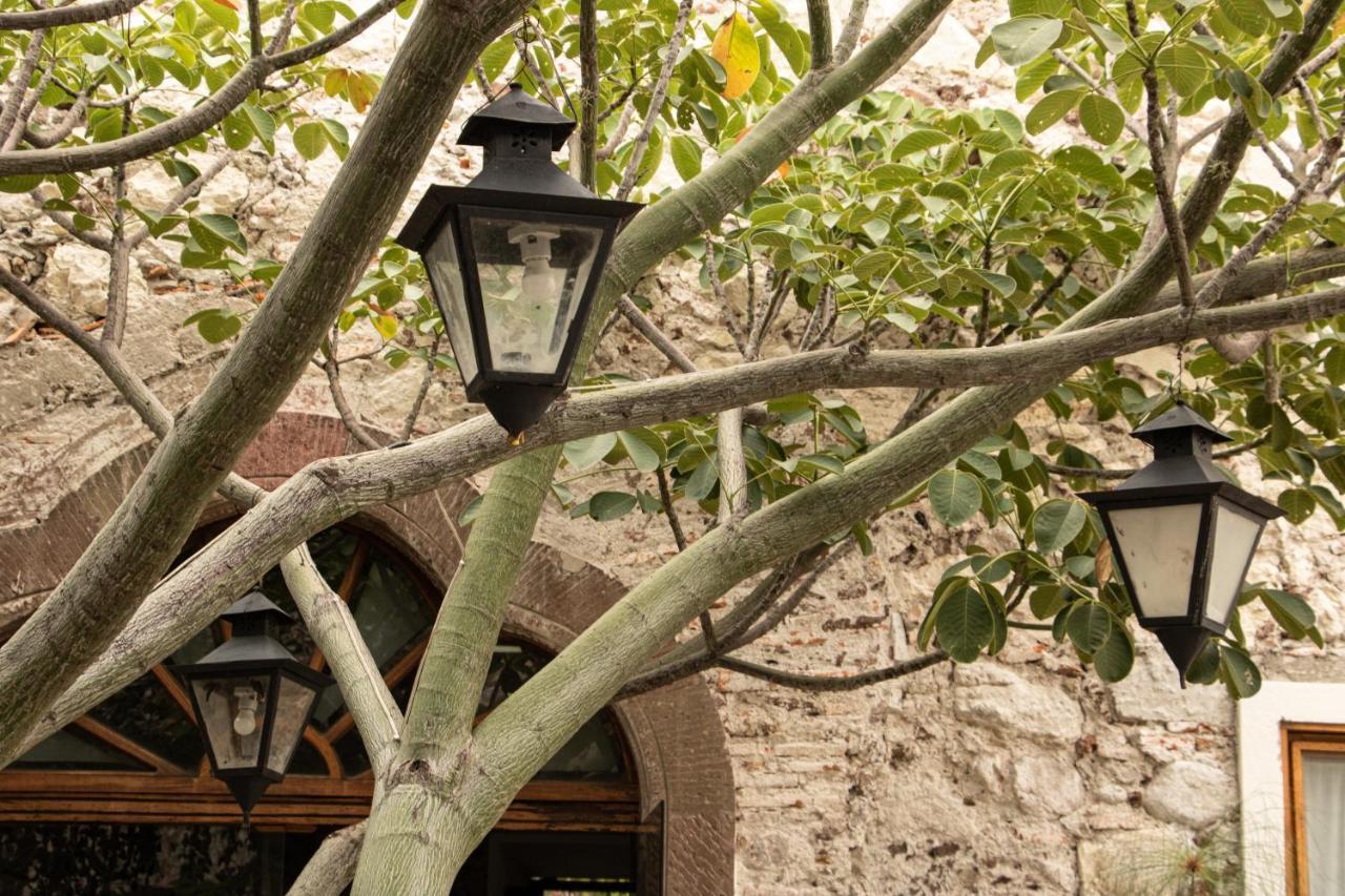 Orchid House San Miguel De Allende Exterior photo