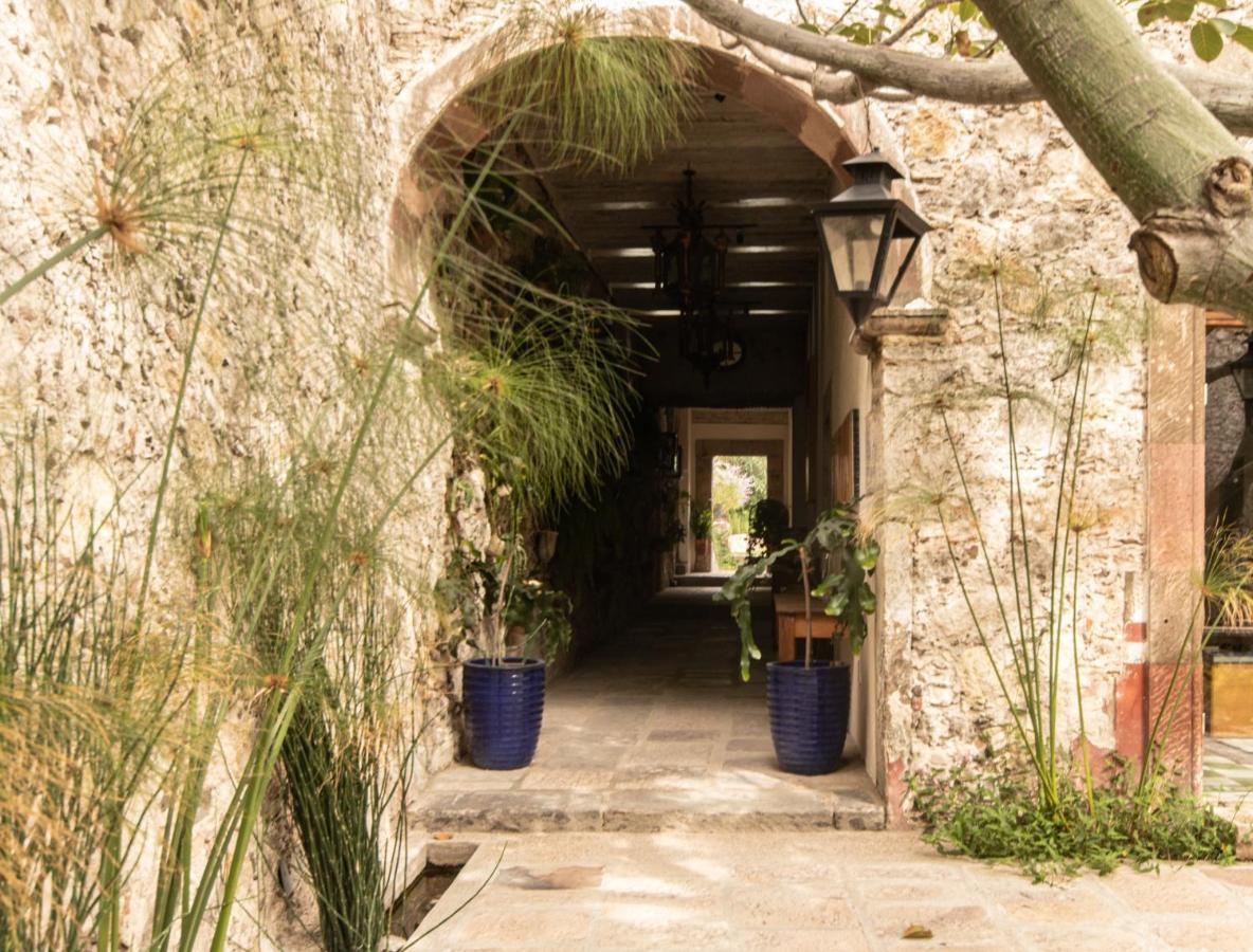 Orchid House San Miguel De Allende Exterior photo