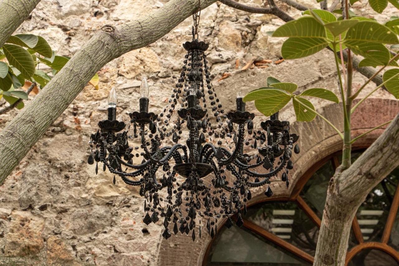 Orchid House San Miguel De Allende Exterior photo