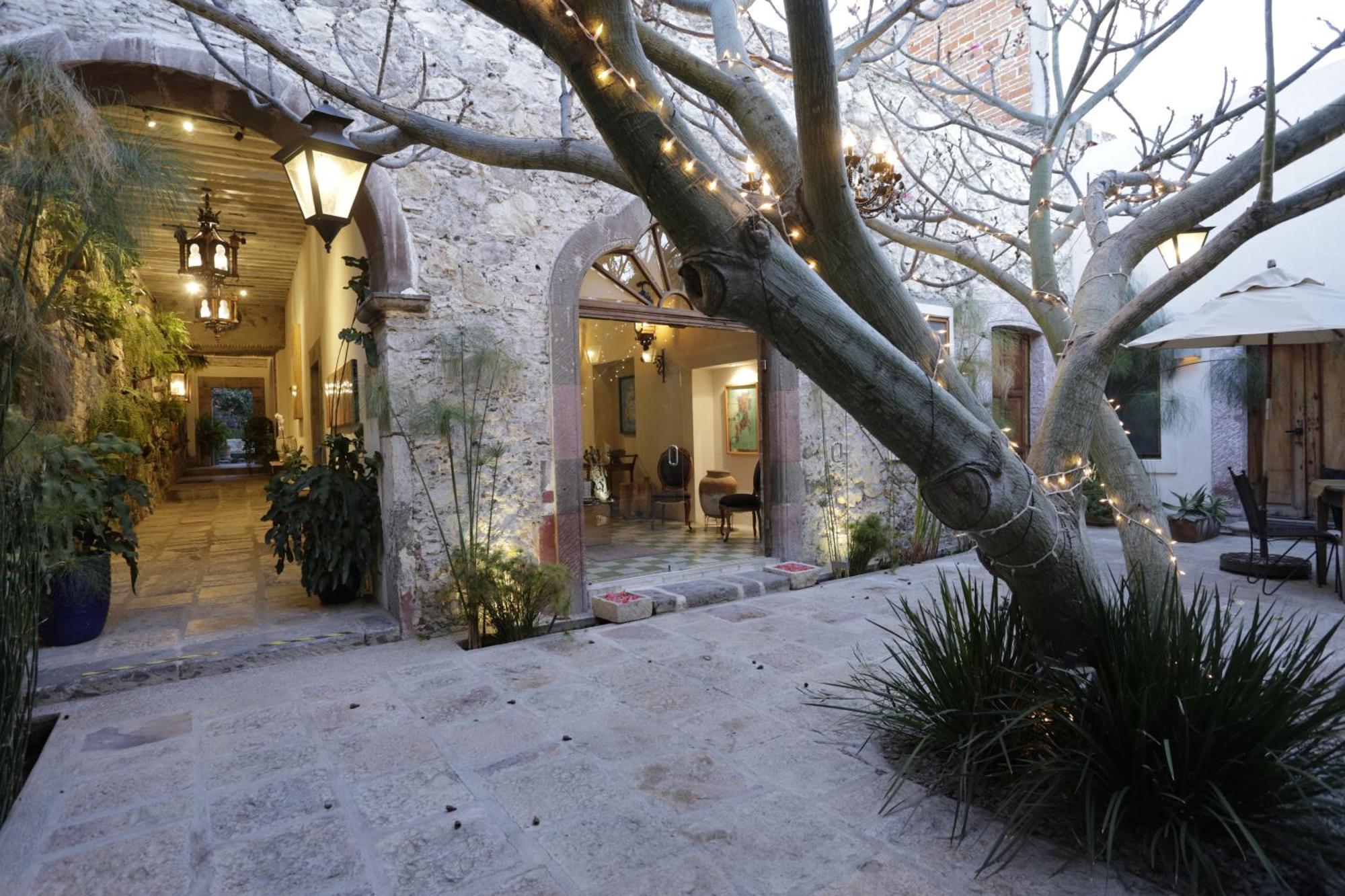 Orchid House San Miguel De Allende Exterior photo