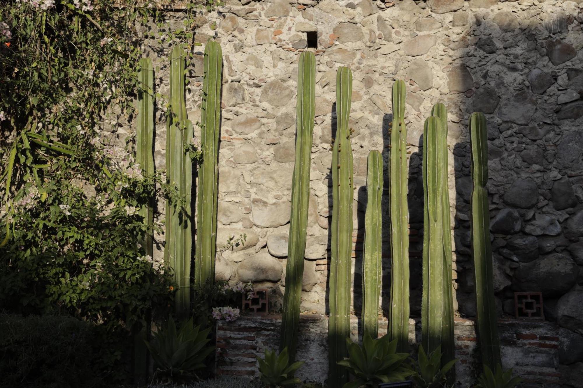 Orchid House San Miguel De Allende Exterior photo