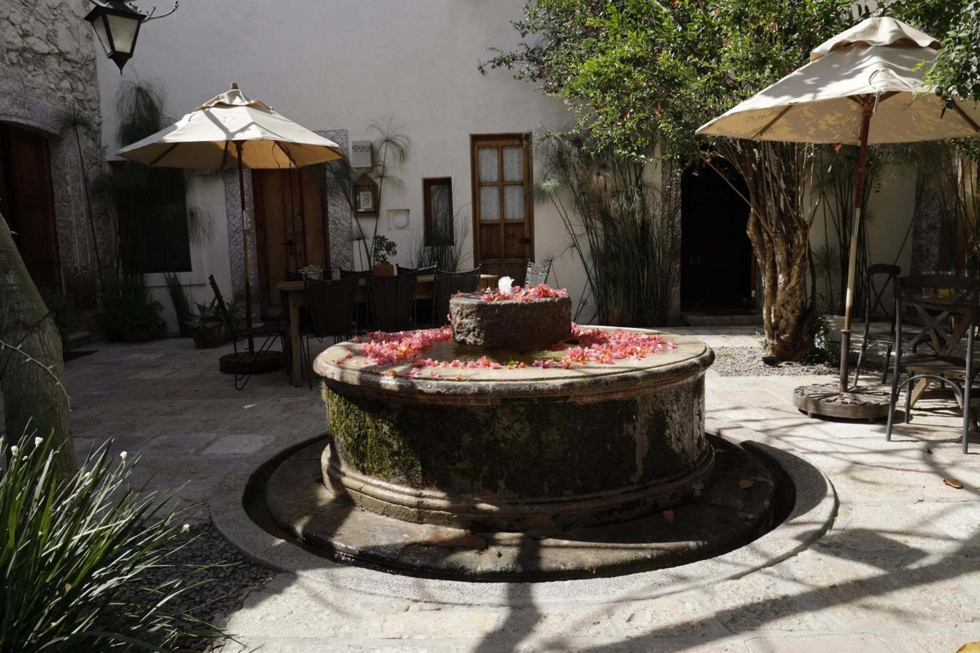 Orchid House San Miguel De Allende Exterior photo