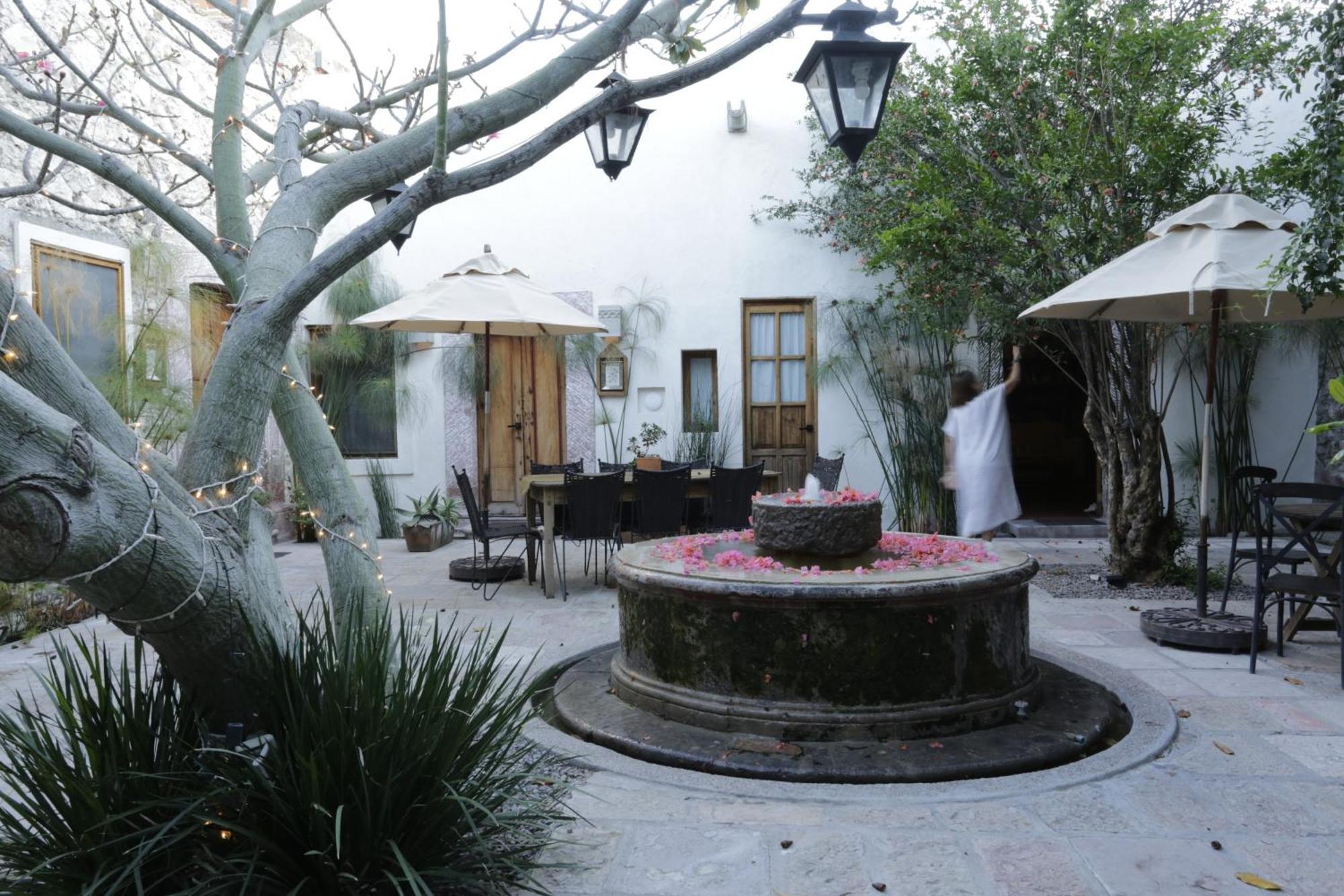 Orchid House San Miguel De Allende Exterior photo