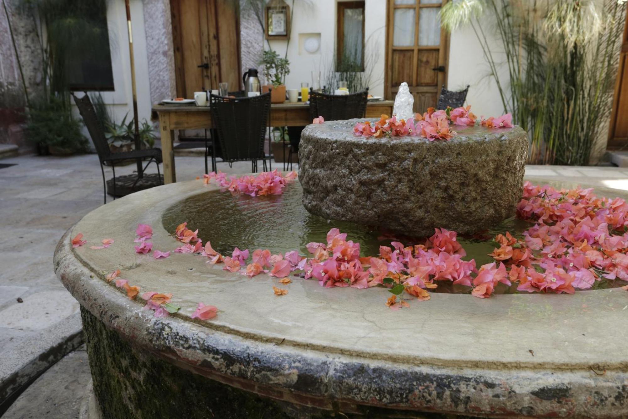 Orchid House San Miguel De Allende Exterior photo