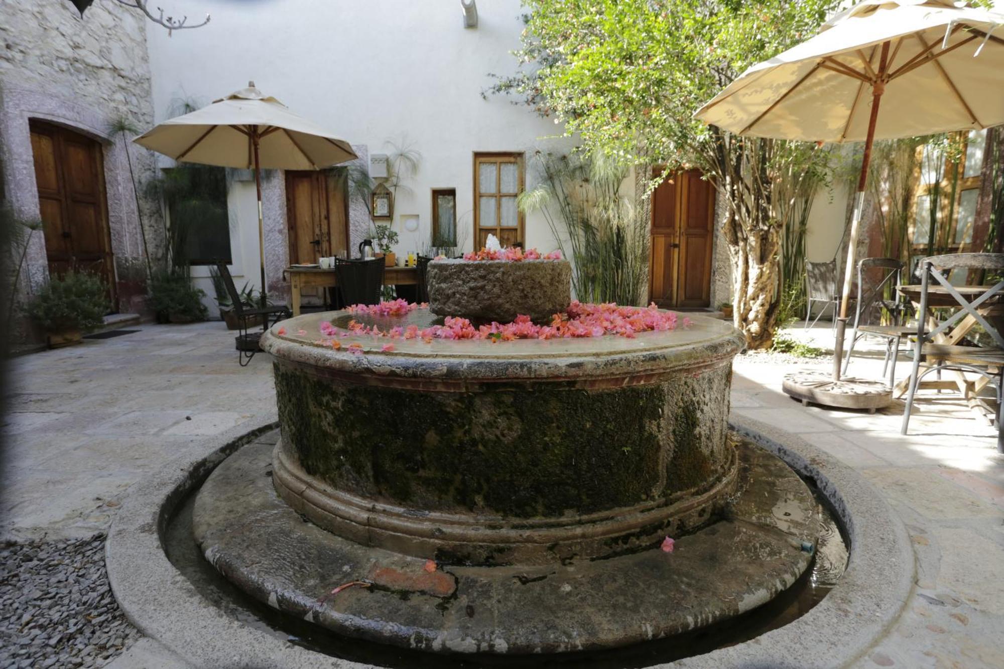 Orchid House San Miguel De Allende Exterior photo
