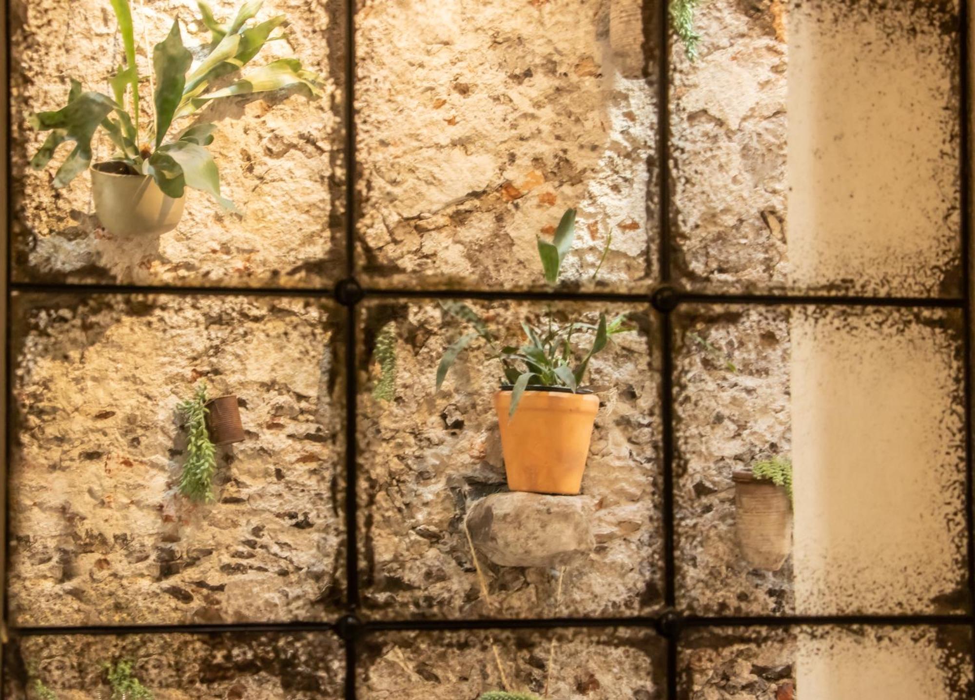 Orchid House San Miguel De Allende Exterior photo
