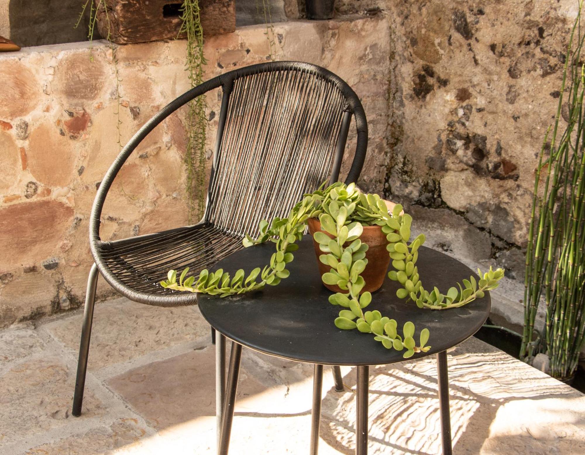 Orchid House San Miguel De Allende Exterior photo
